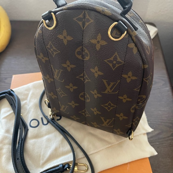 Louis Vuitton Palm Springs Mini - Picture 3 of 3